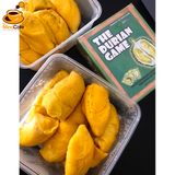 The Durian Game - The Mind Cafe